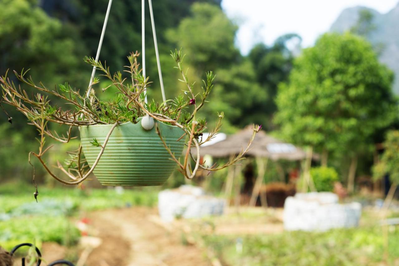 Nirvana Organic Farm Inn Янгшуо Екстериор снимка