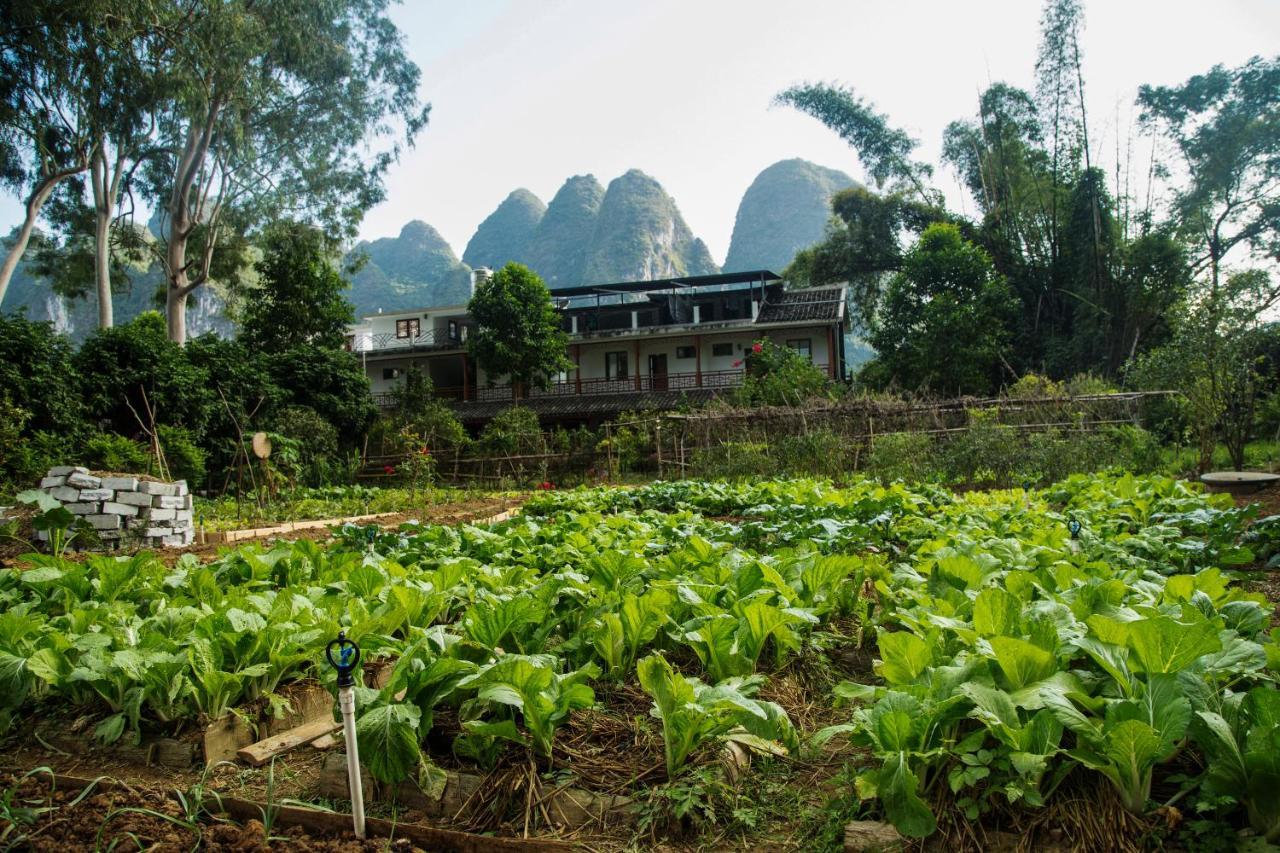 Nirvana Organic Farm Inn Янгшуо Екстериор снимка