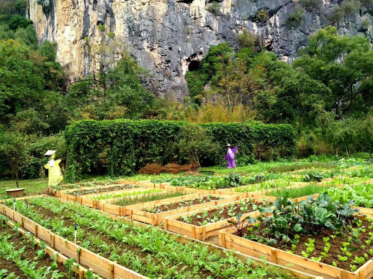 Nirvana Organic Farm Inn Янгшуо Екстериор снимка